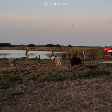 Coorong Island Retreat - Farm Stay At Pet Friendly Property Meningie Экстерьер фото