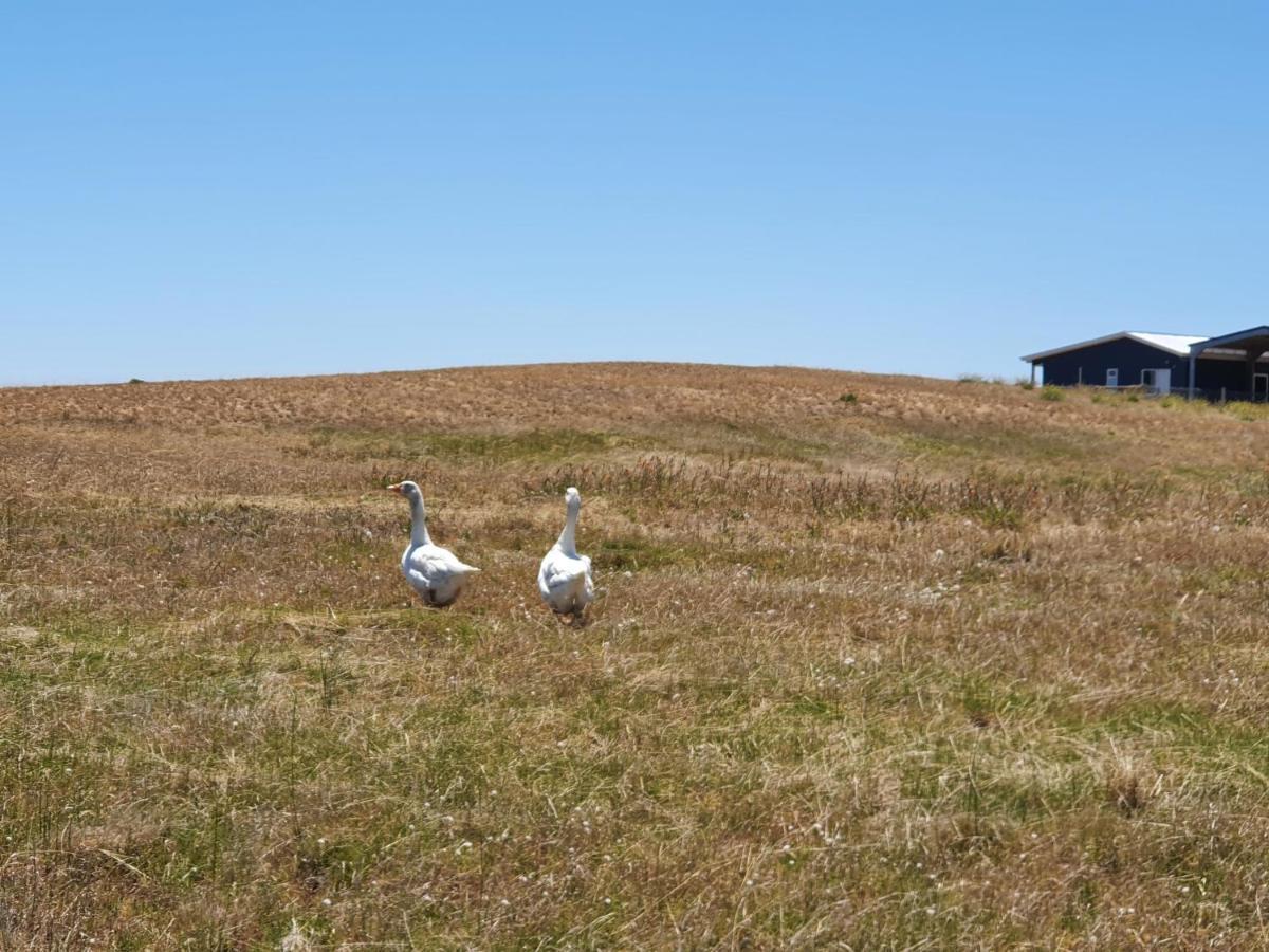 Coorong Island Retreat - Farm Stay At Pet Friendly Property Meningie Экстерьер фото