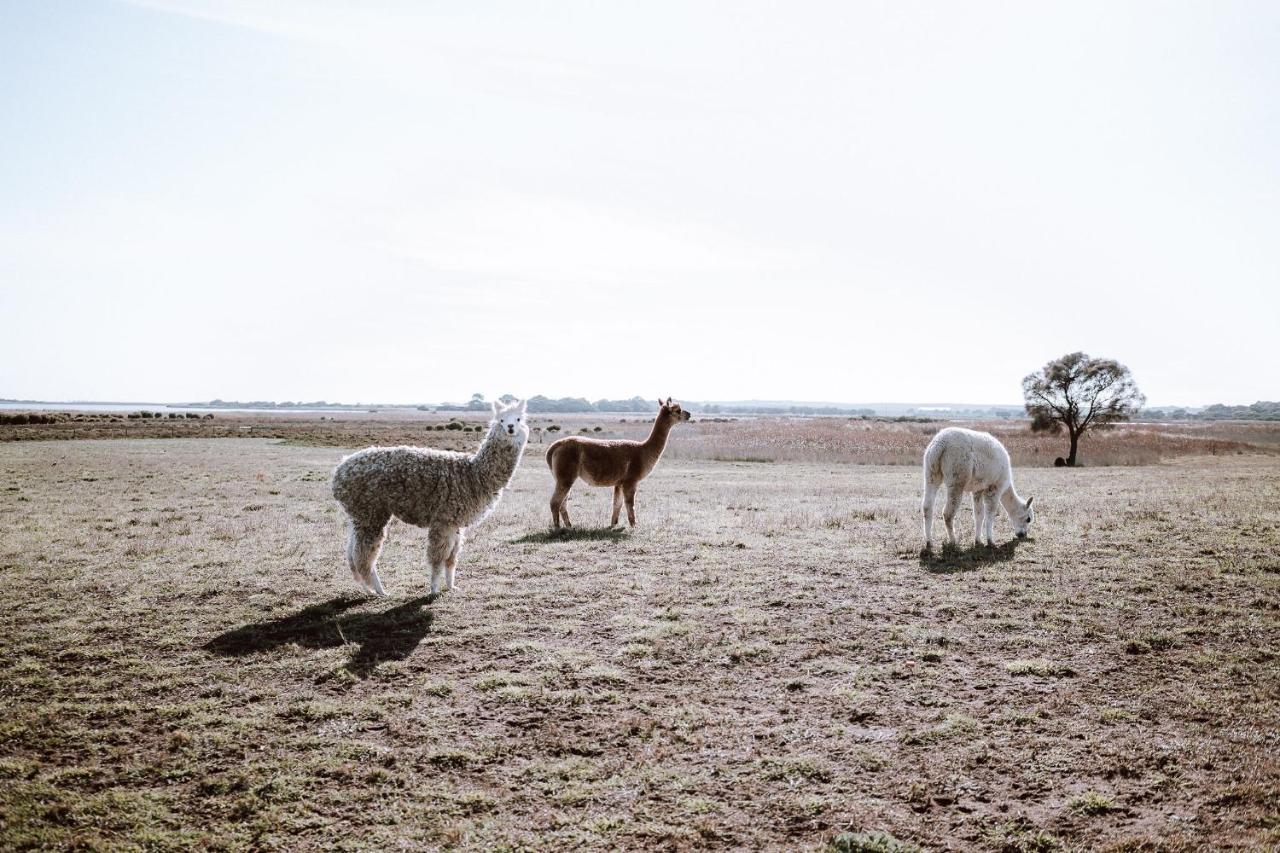 Coorong Island Retreat - Farm Stay At Pet Friendly Property Meningie Экстерьер фото