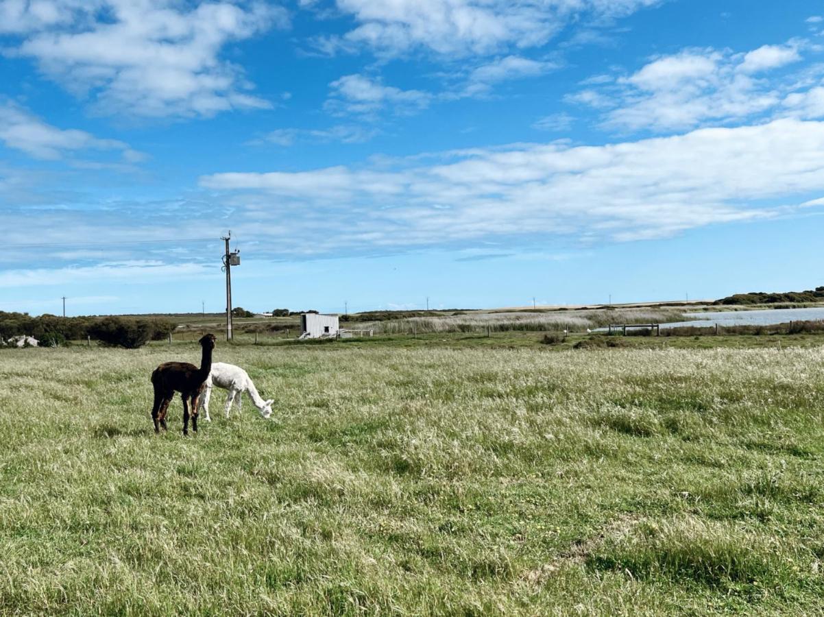 Coorong Island Retreat - Farm Stay At Pet Friendly Property Meningie Экстерьер фото