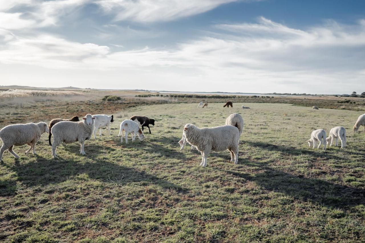 Coorong Island Retreat - Farm Stay At Pet Friendly Property Meningie Экстерьер фото