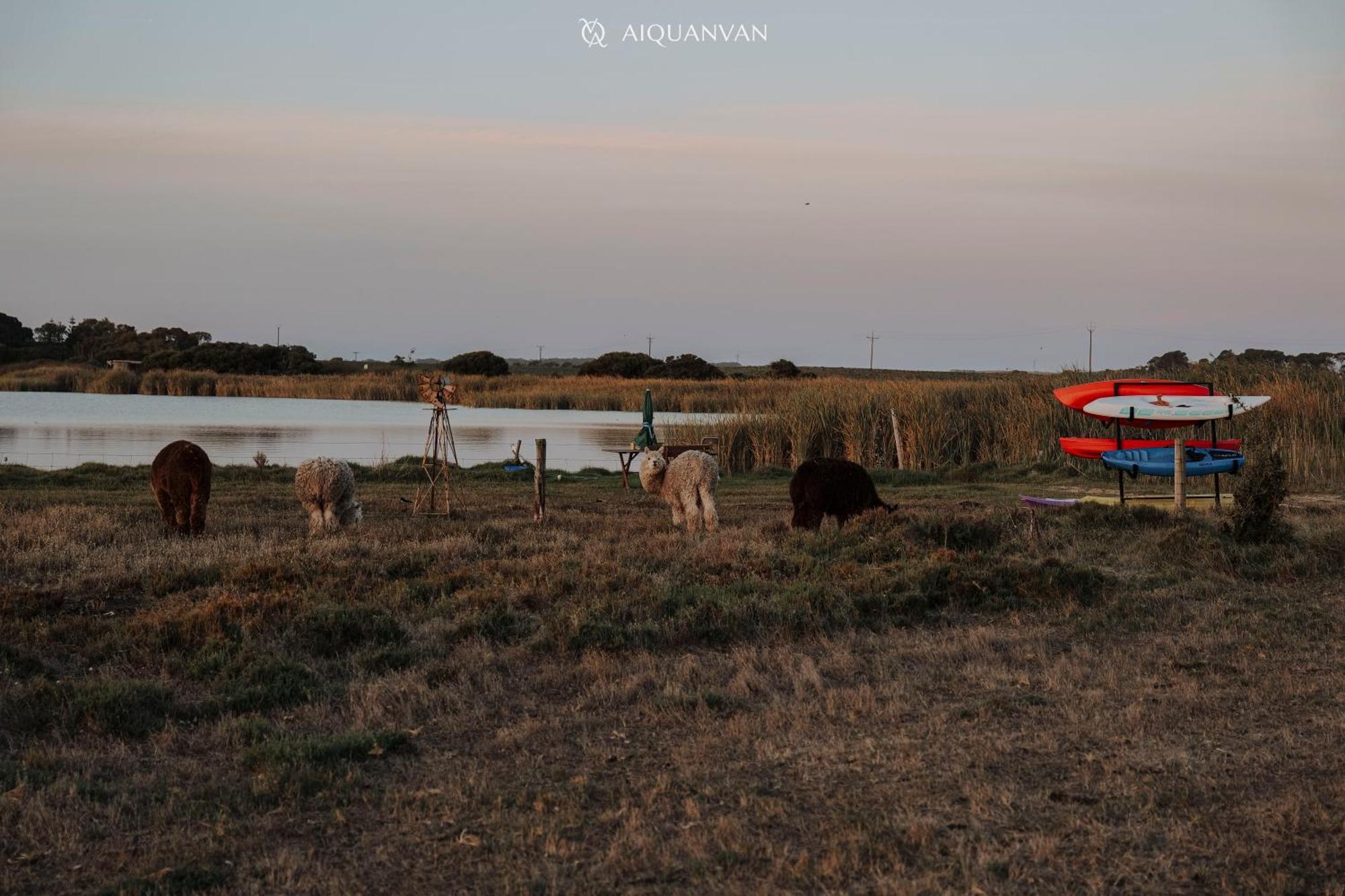 Coorong Island Retreat - Farm Stay At Pet Friendly Property Meningie Экстерьер фото